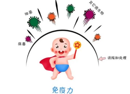 天津试管代怀生子：﻿小苏打加尿测男女方法可信吗,科学原理分析告诉你