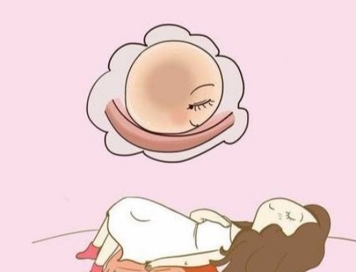 天津试管供卵代怀：﻿冻卵复苏成功率是多少？国内冻卵复苏率可达80%