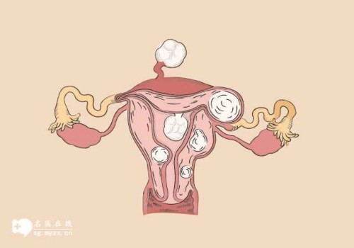 天津供卵试管：﻿排卵有障碍还能生孩子吗,引起的原因看这里